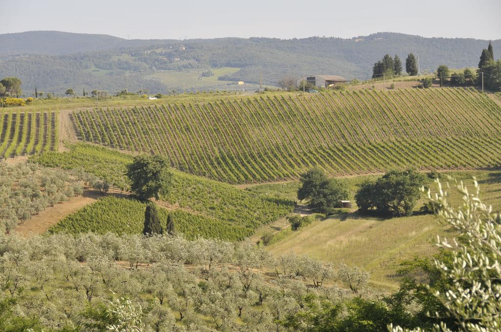 Agriturismo Renai E Monte II Gambassi Terme Εξωτερικό φωτογραφία